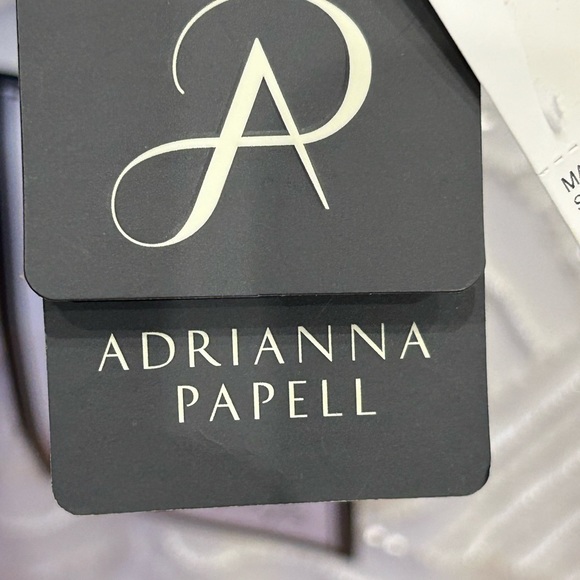 NWT - Adrianna Papell  - Beaded Short Sheath Dress -  Color Ivory - Size 8 - Picture 12 of 13